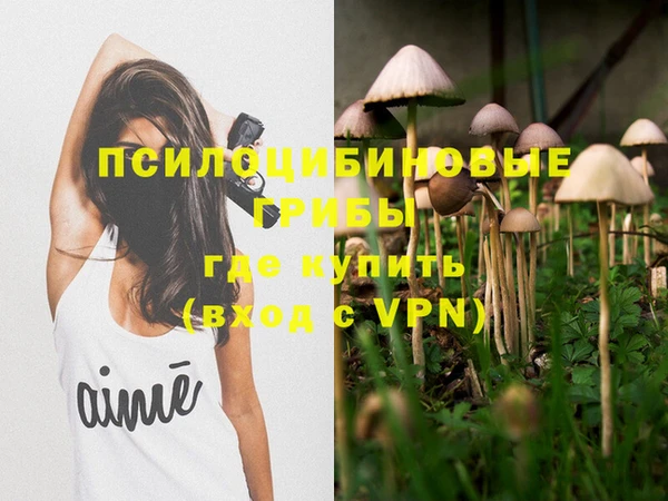 шишки Михайловск