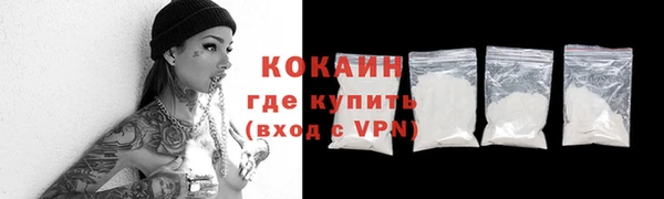 шишки Михайловск