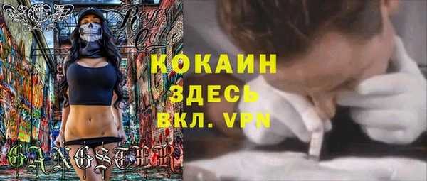 шишки Михайловск