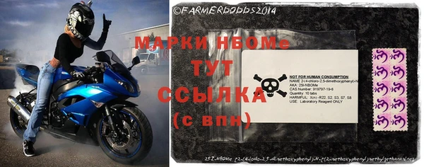 шишки Михайловск