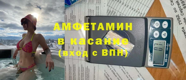 шишки Михайловск