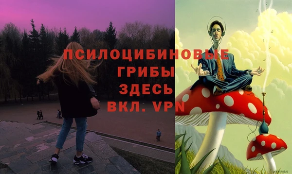 гидра Михайлов