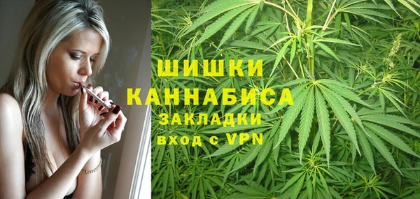 гидра Михайлов