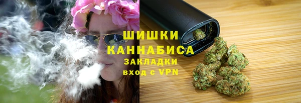 шишки Михайловск