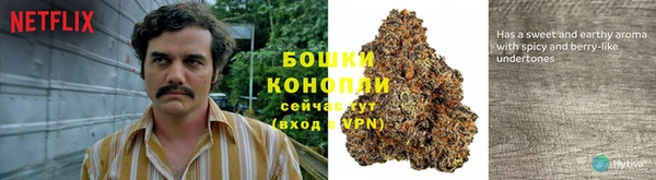 шишки Михайловск